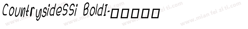 CountrysideSSi BoldI字体转换